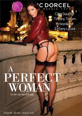 Watch A Perfect Woman movie