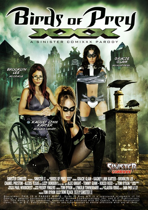 Birds of Prey XXX : A Sinister Comixxx Parody (2012) free large front cover