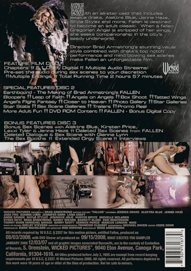 Fallen (2008) free large back cover